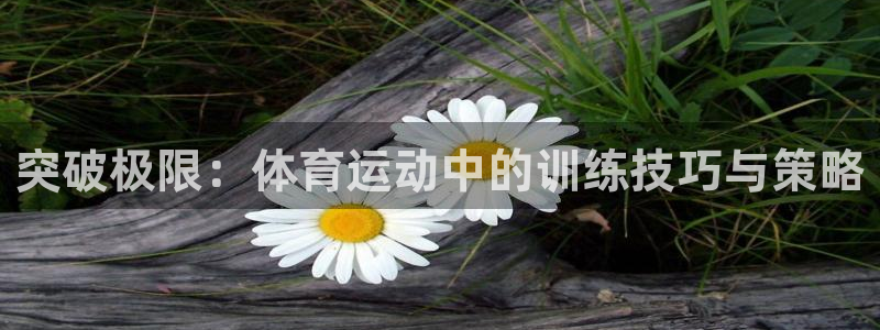 哈哈体育