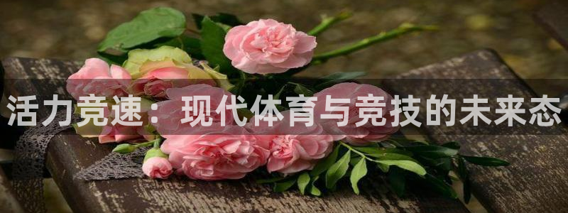哈哈体育十年