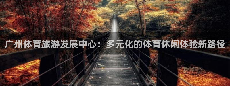 哈哈体育十年