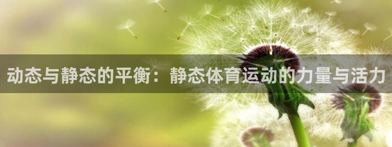 哈哈体育十年