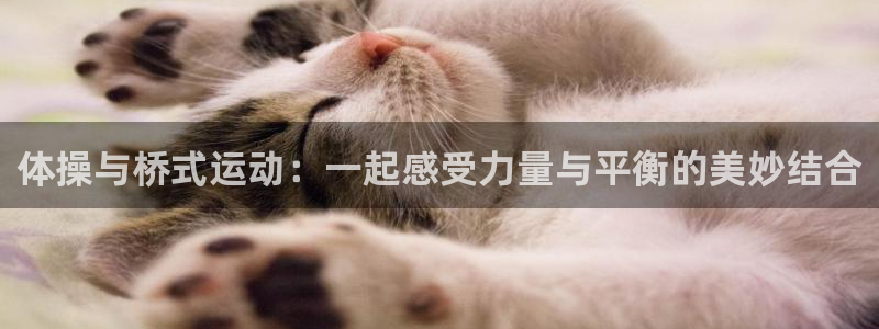 哈哈体育