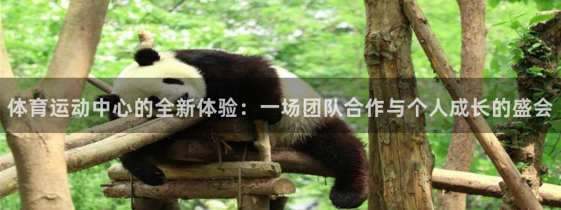 哈哈体育