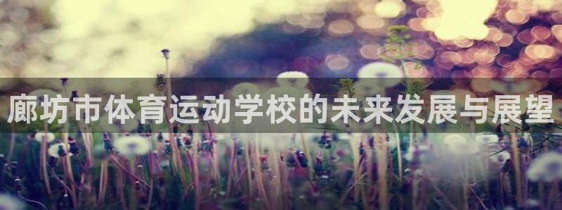 哈哈体育
