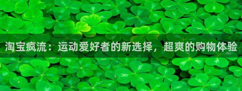 哈哈体育十年