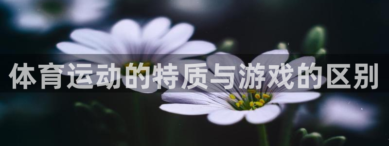 哈哈体育十年