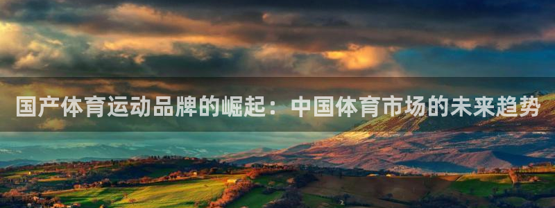 哈哈体育十年