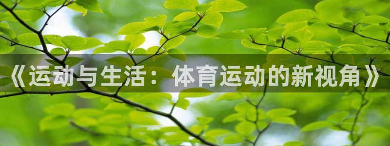 哈哈体育下载