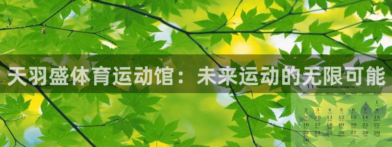 哈哈体育