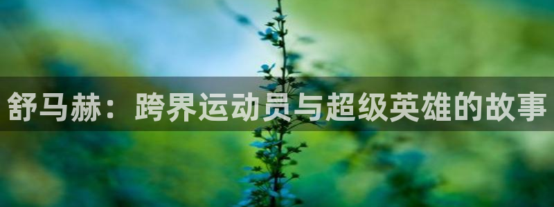 哈哈体育十年