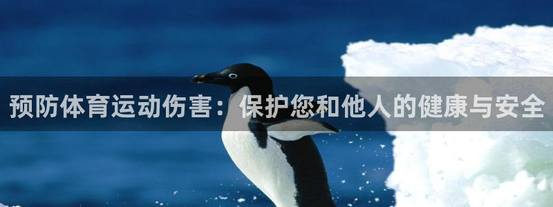 哈哈体育下载