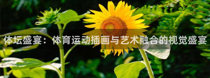 哈哈体育十年