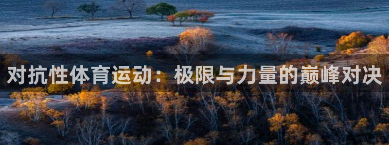 哈哈体育下载