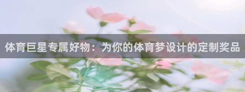 哈哈体育十年