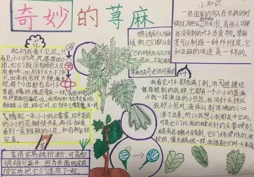 投票自然笔记大赛渝东北地区参赛作品