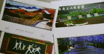 南方探针