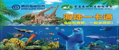 温暖义家助力文旅餐饮丨没看过海底世界,别说你到过青岛