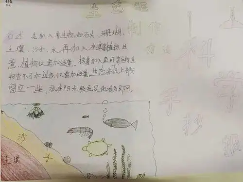 让自然世界更美好本真部五年级科学生态系统手抄报展示