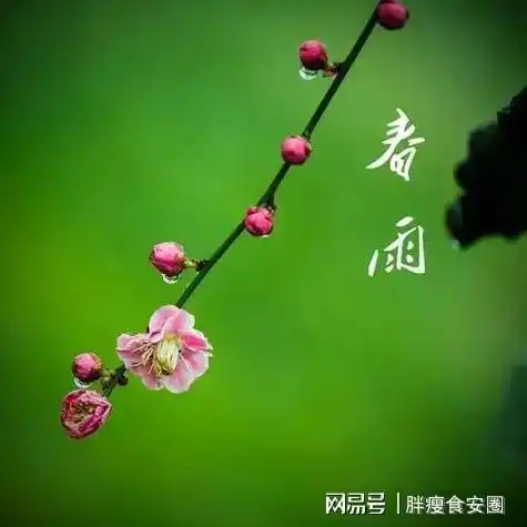 惊蛰过完就到孕育生机的春分啦