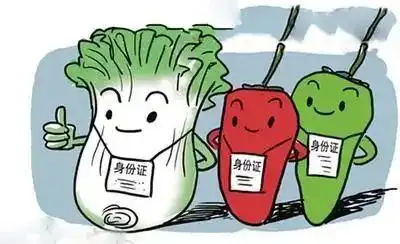 进出口食品添加剂海关监管指南
