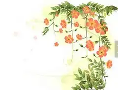 黑板报花边好看的黑板报花边图案石榴花