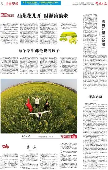 清明寻根大槐树