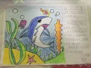 一年级的读写绘海洋世界