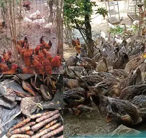感谢师恩,情义满满,花中溪为大家准备的谢师宴