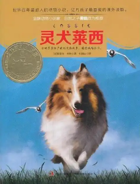灵犬莱西