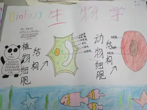 附校风采国庆手抄报之丰富多彩的生物世界评选结果揭晓中