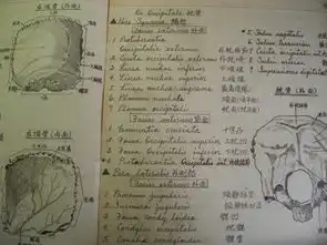 震撼70年前的医学生笔记3