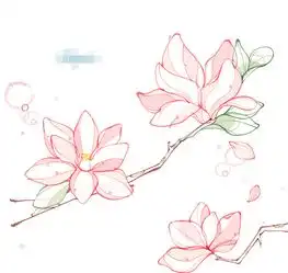 黑板报花边木兰花花边