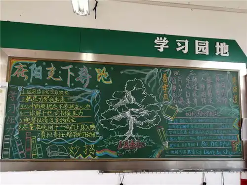 我校成功举办阳光成长心理健康活动之心理板报评选活动