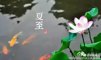 夏至6月21