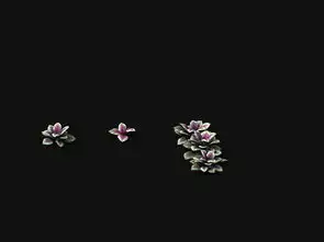华山植物小植物01设计图下载图片9.05mb花瓶花卉库单体模型