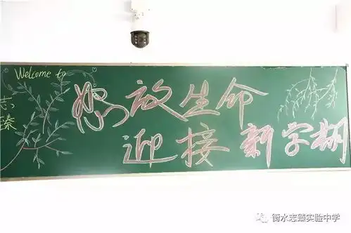 新起点新梦想衡水志臻实验中学2017迎新生板报集锦
