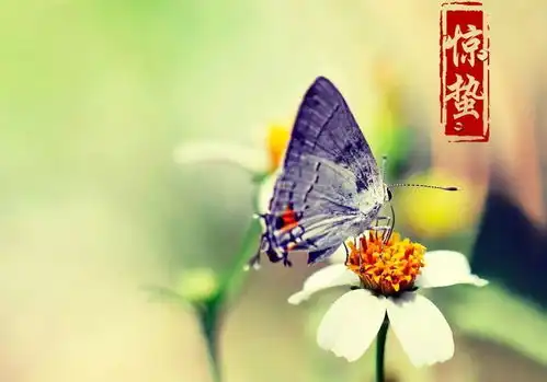 营口今夜有轻雾,明日气温再升高