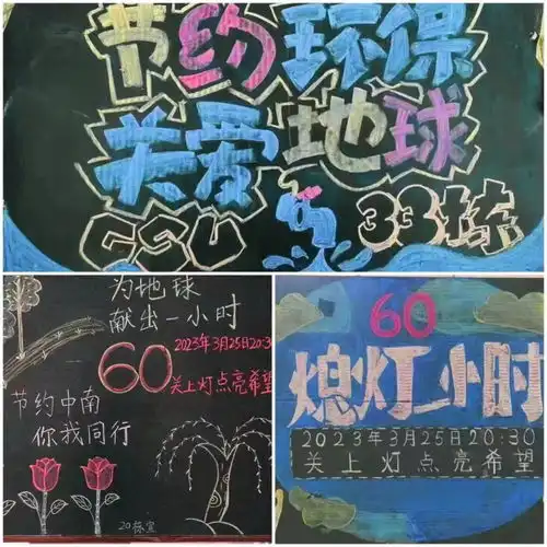 中南大学举行地球一小时主题系列活动