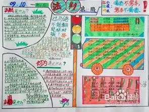 法制手抄报内容