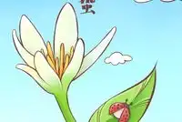二十四节气立秋简笔画呈现中国最美节气