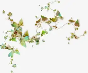 植物藤蔓素材图片免费下载高清装饰图案png千库网图片编号2707993