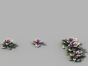 华山植物小植物01设计图下载图片9.05mb花瓶花卉库单体模型