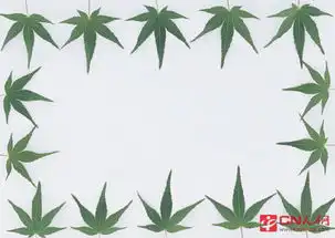 2015最新的清明节黑板报花边
