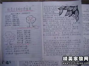 小学教师的读书笔记