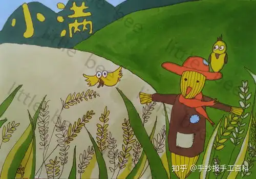 小满手抄报24节气手抄报