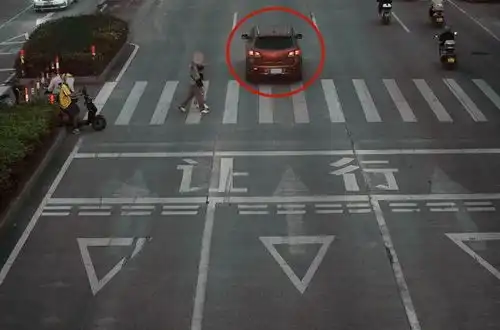 不礼让斑马线,这些车被拍