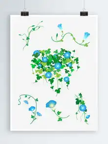 线描花图片免费下载第3页千图网