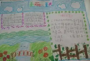 夏季手抄报内容