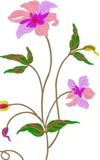 黑板报花边科学黑板报花边图案花边图案