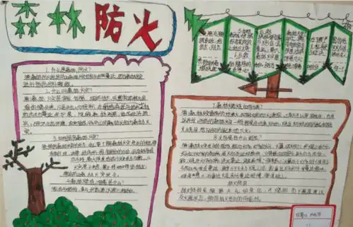守护地球之肺,丹棱县各学校上好森林防火期末最后一课