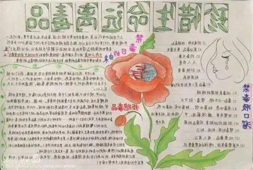 我市各学校开展健康人生绿色无毒禁毒宣传教育系列活动